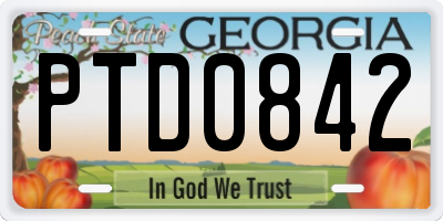GA license plate PTD0842