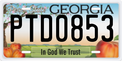GA license plate PTD0853