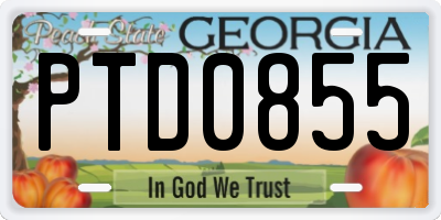 GA license plate PTD0855