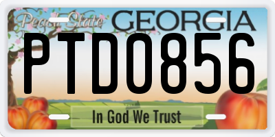 GA license plate PTD0856