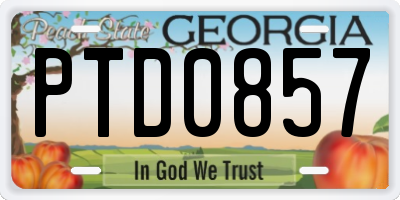 GA license plate PTD0857