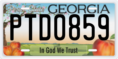 GA license plate PTD0859