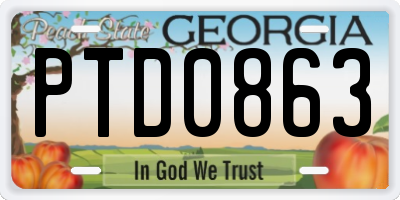 GA license plate PTD0863