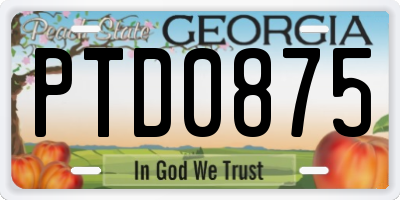 GA license plate PTD0875