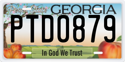 GA license plate PTD0879