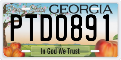 GA license plate PTD0891