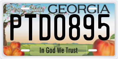GA license plate PTD0895