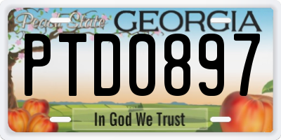 GA license plate PTD0897
