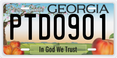 GA license plate PTD0901