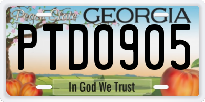GA license plate PTD0905