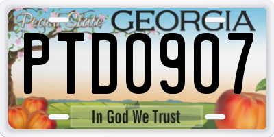 GA license plate PTD0907
