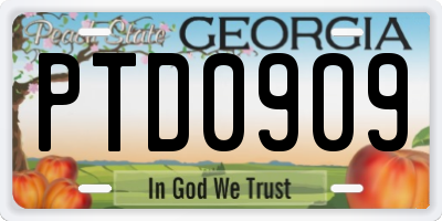GA license plate PTD0909