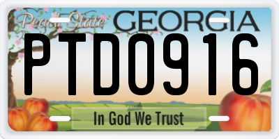 GA license plate PTD0916