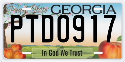 GA license plate PTD0917