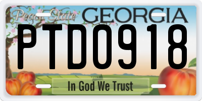 GA license plate PTD0918