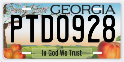 GA license plate PTD0928