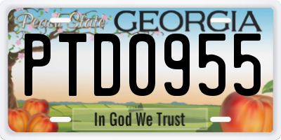 GA license plate PTD0955