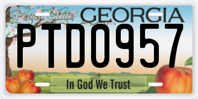 GA license plate PTD0957