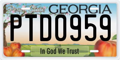 GA license plate PTD0959