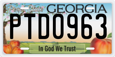 GA license plate PTD0963