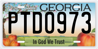 GA license plate PTD0973