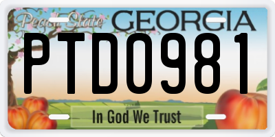 GA license plate PTD0981