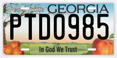 GA license plate PTD0985