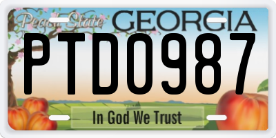 GA license plate PTD0987