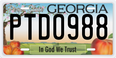 GA license plate PTD0988