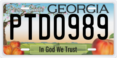 GA license plate PTD0989