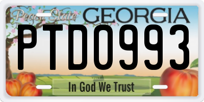 GA license plate PTD0993