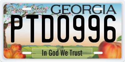 GA license plate PTD0996