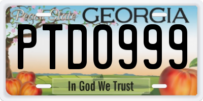 GA license plate PTD0999