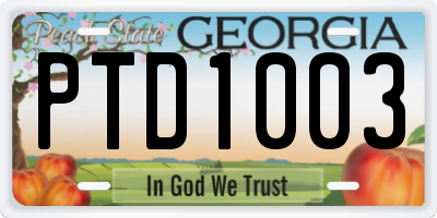 GA license plate PTD1003