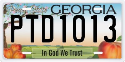 GA license plate PTD1013