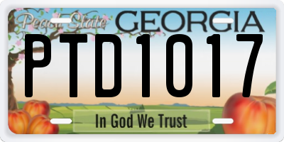 GA license plate PTD1017