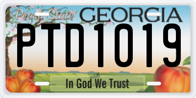 GA license plate PTD1019