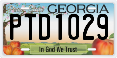 GA license plate PTD1029