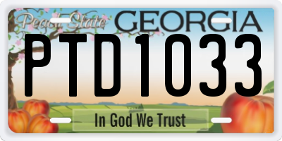 GA license plate PTD1033