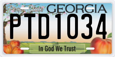 GA license plate PTD1034