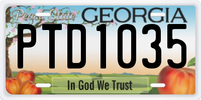 GA license plate PTD1035