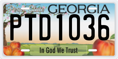 GA license plate PTD1036
