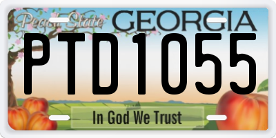 GA license plate PTD1055