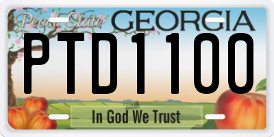 GA license plate PTD1100