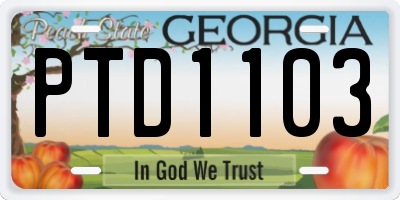 GA license plate PTD1103