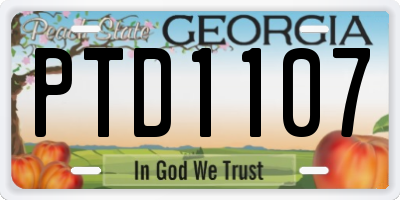 GA license plate PTD1107