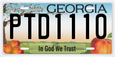 GA license plate PTD1110