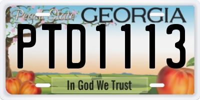 GA license plate PTD1113
