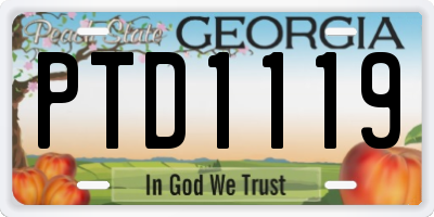 GA license plate PTD1119