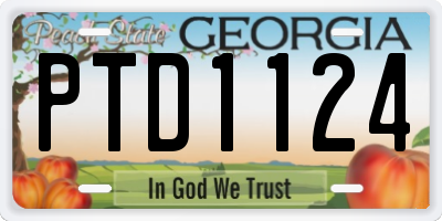 GA license plate PTD1124